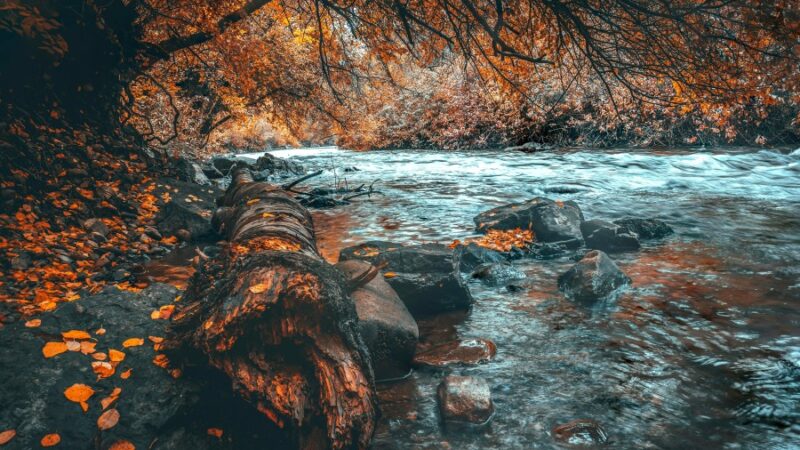 What is the first natural feature recognized as a person?