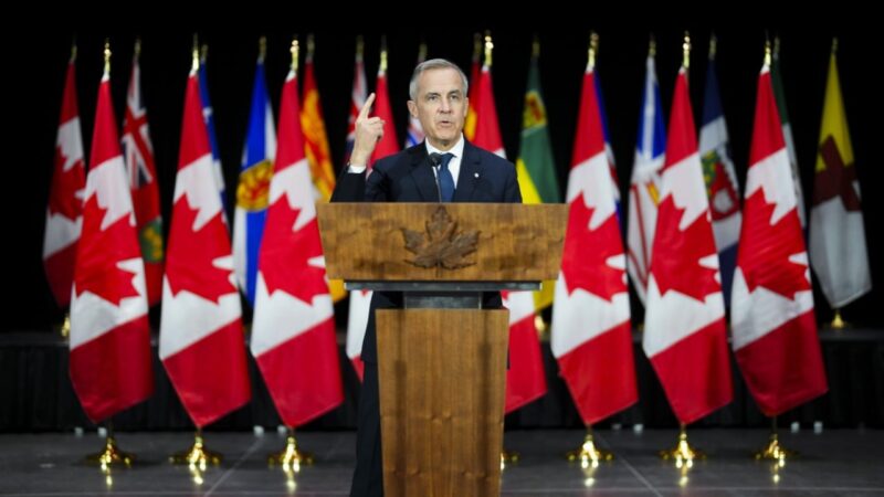 Canada votes: Carney seeks strong mandate to deal with Trump