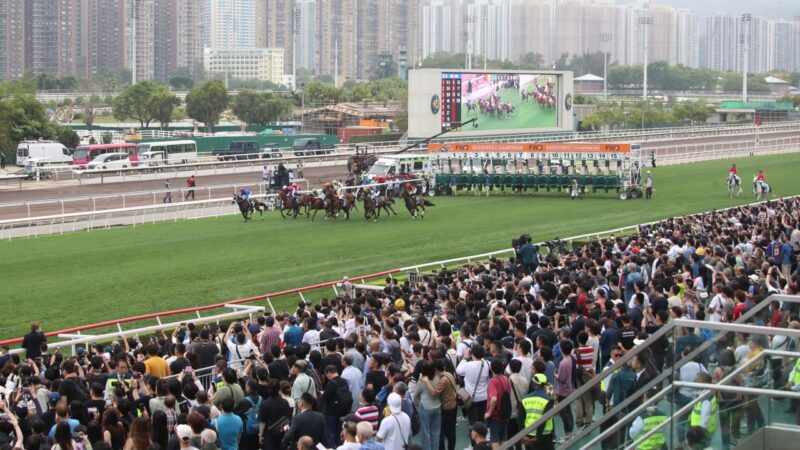 Record tourist numbers flock to Champions Day, but star filly’s death mutes celebrations