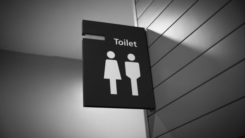 Women’s toilets are not for trans women, UK equality watchdog says