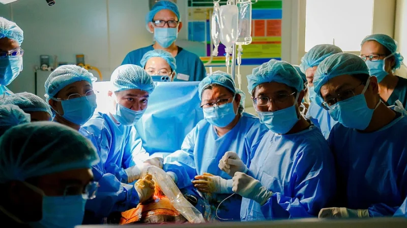 2 critical minutes decide success of rare heart surgery on Singaporean mother’s fetus by HCMC doctors