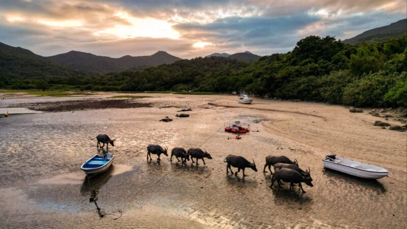 Groups warn poorly planned Hong Kong tourism projects will damage eco sites