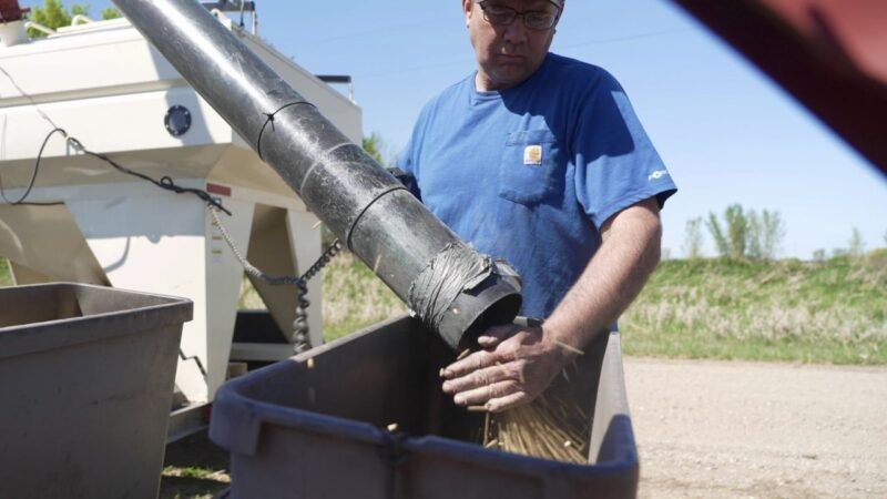 US soybean farmers move to reduce dependence on China as trade war grinds on