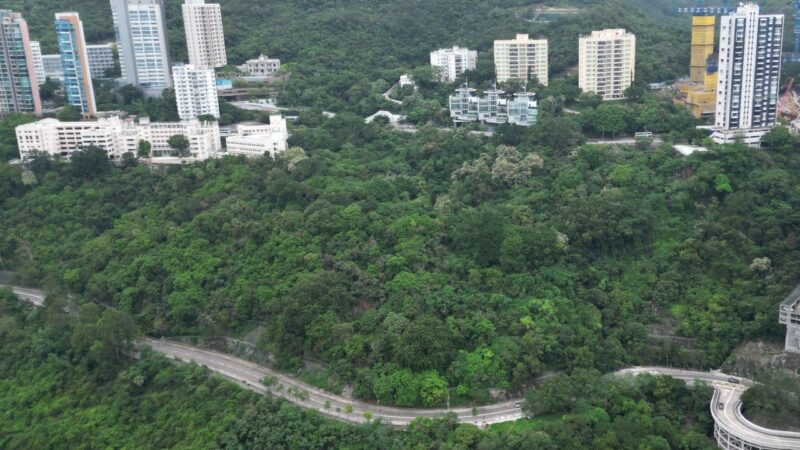University of Hong Kong’s revised IT hub plan angers Pok Fu Lam residents