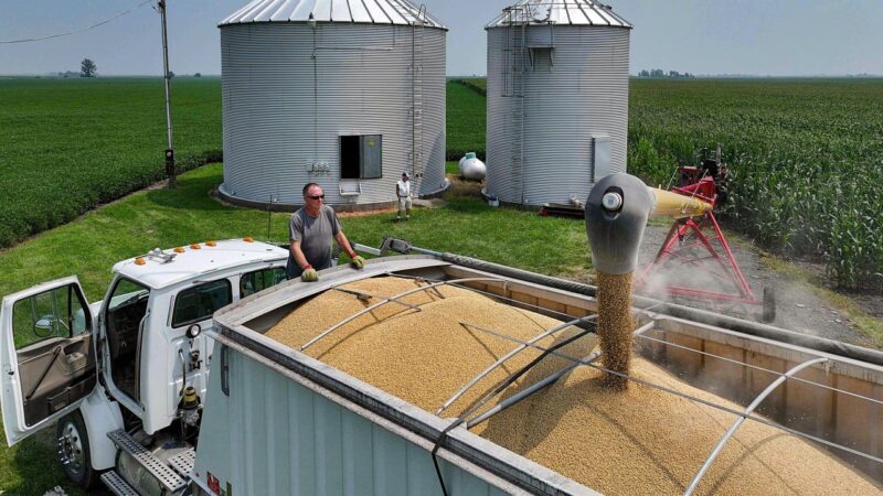 Chinese ownership of US farmland no threat to American security, envoy says