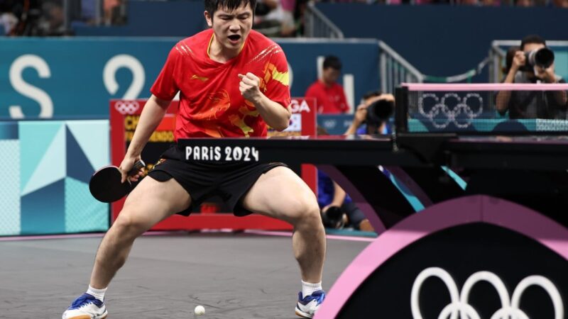 Pandas and table tennis: China’s national icons fall victim to toxic fan culture