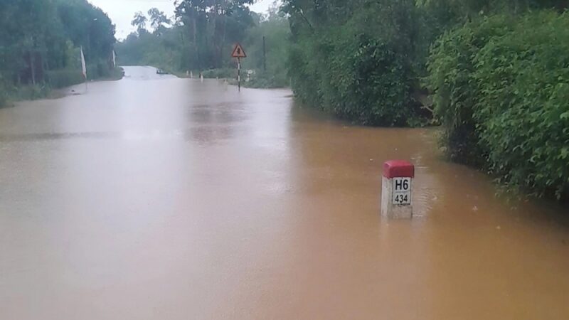 Storm Nongfa weakens into tropical depression