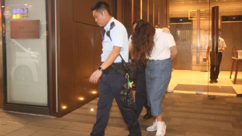 Woman held after mummified cat and dead dog found in Hong Kong flat within a week