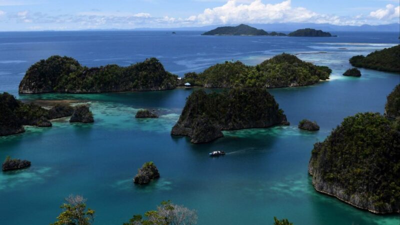 Indonesian nickel mine reopened despite environmental outcry