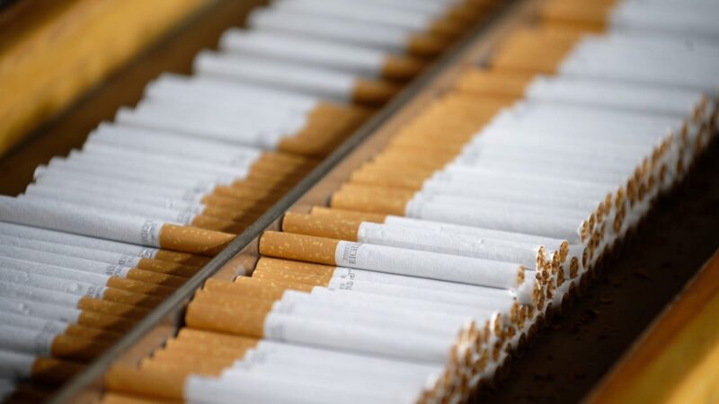 Over 150 tonnes of counterfeit cigarettes seized in Italian factory bust