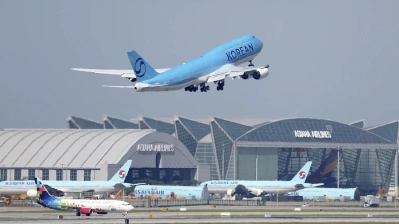 Hundreds of Korean workers to be flown home after US raid at Hyundai plant