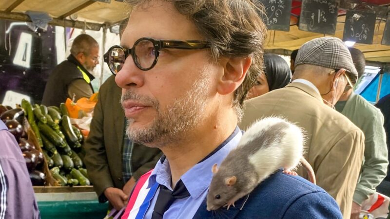 Parisian politician aims to change French view of rats from pests to pets