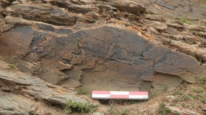 China’s first emperor really did look to Tibet in search of immortality: experts