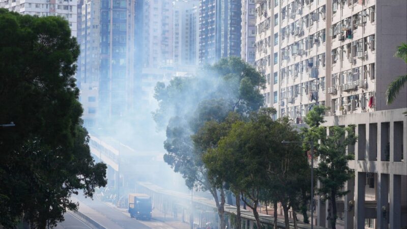 Hong Kong reports first local chikungunya fever case in at least 11 years