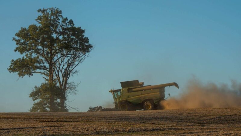 US soybean farmers’ plea; death of  leading AI scientist: SCMP daily highlights