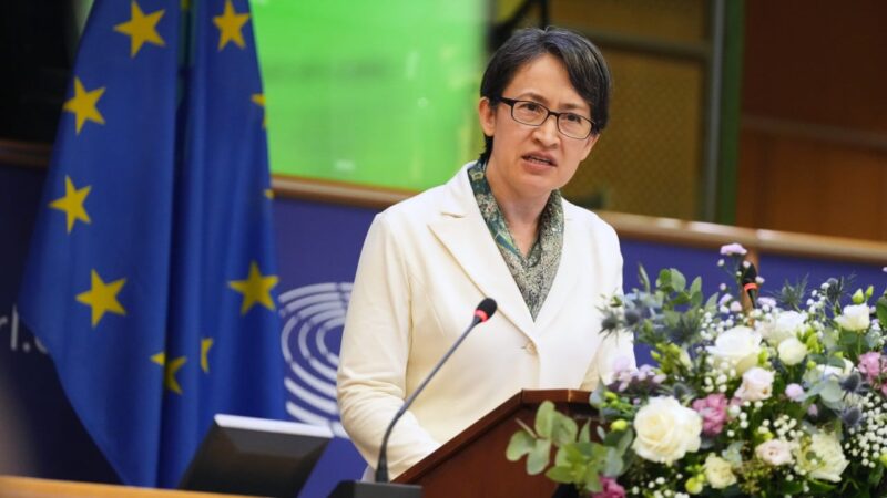 ‘Milestone’ or stunt? Taiwanese debate No 2 leader’s European Parliament speech
