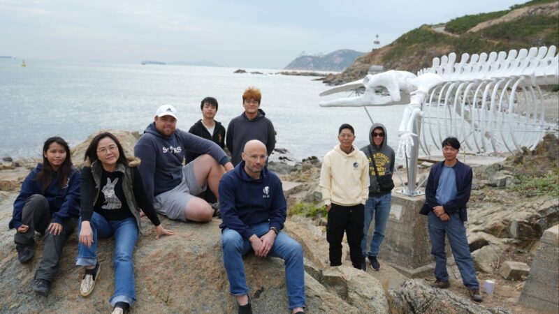 Hong Kong’s whale of a tale: famous fossil at Shek O gets new lease of life