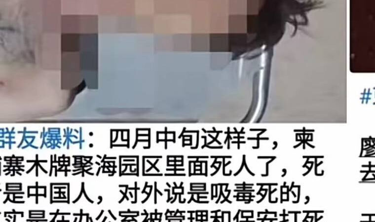 #网友投稿：尊敬的中国公安部领导们好，尊敬的柬埔寨反诈工作组