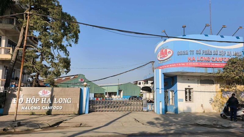 Vietnam arrests food company CEO over use of diseased pork in 1.7 tons of pate production