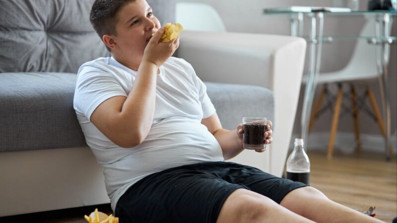 UK begins ‘world-leading’ junk food ad ban to curb childhood obesity