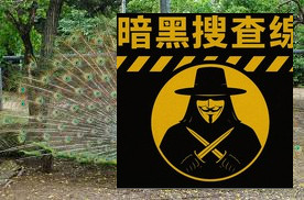 柬埔寨惊现20只绿孔雀


柬单网报道，柬埔寨环保部通