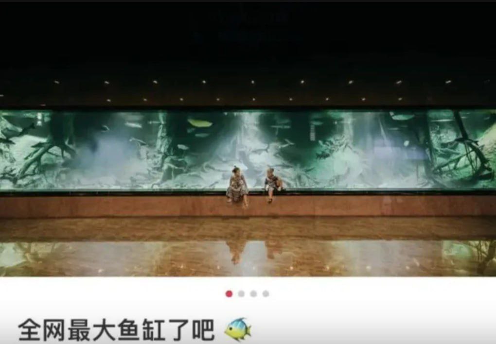 网传炫富网红是“陈志妻子” 实则丈夫为另一大佬
“ 网传炫富网红是“陈志妻子” 实则丈夫为另一大佬
“