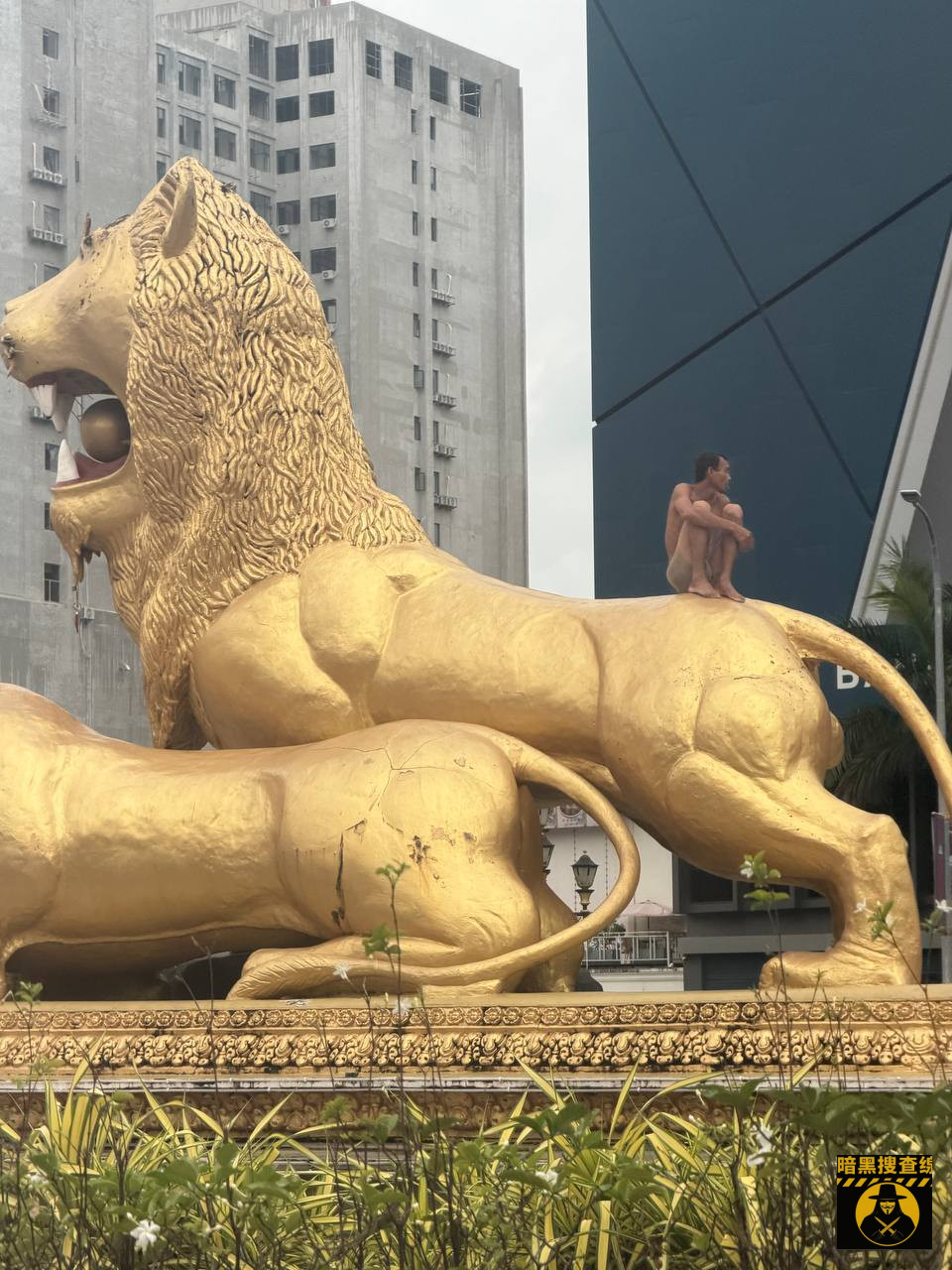 柬埔寨现状：西港金狮风好大