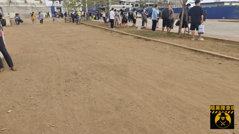 #突发事件：七号已经全部清空了 现在路上都是跑路的

没