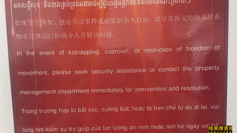 #网友反馈：木牌金星园区到处都贴满了，可以自由出园区的通告了