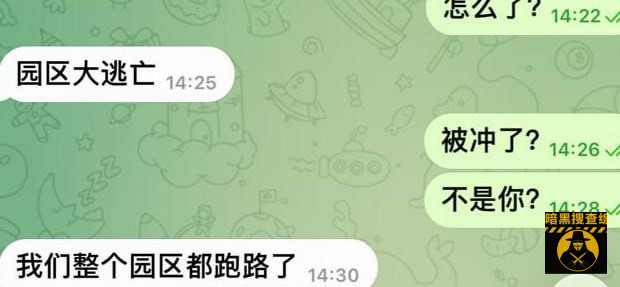 #网友反馈：刚刚木牌 AI 港大逃亡 很多人从园区里面冲出来