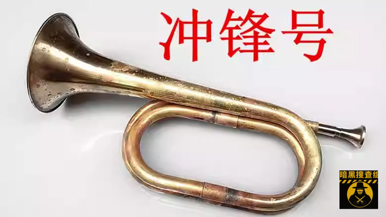 #七星海冲园区网友投稿 
本人是昨天第一波冲园区的之一，长