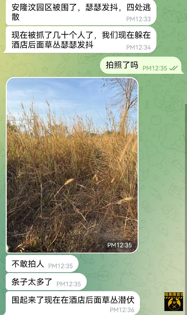 #网友反馈：安隆汶园区被宪兵队围了，园区狗子四处逃散