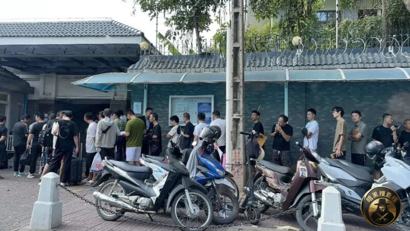 无钱无证无去向？柬埔寨清剿电诈园区，街头现大量滞留人员安全隐