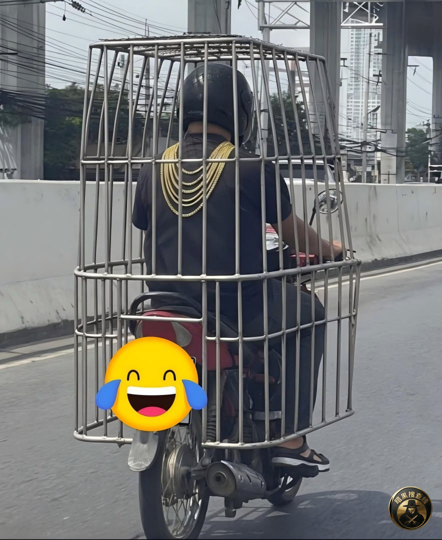 金价再创纪录,安全第一😂
1月24日,贵金属继续刷新历 金价再创纪录,安全第一😂
1月24日,贵金属继续刷新历