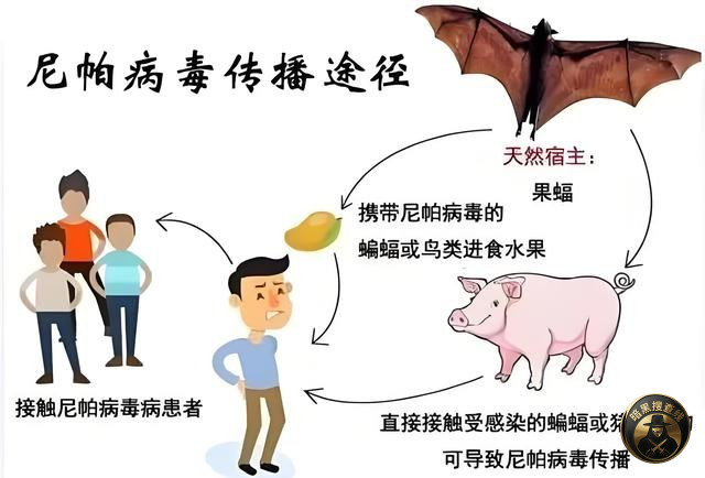 #最新疫情：

这次印度的传染病比新冠病毒 还要强悍，海