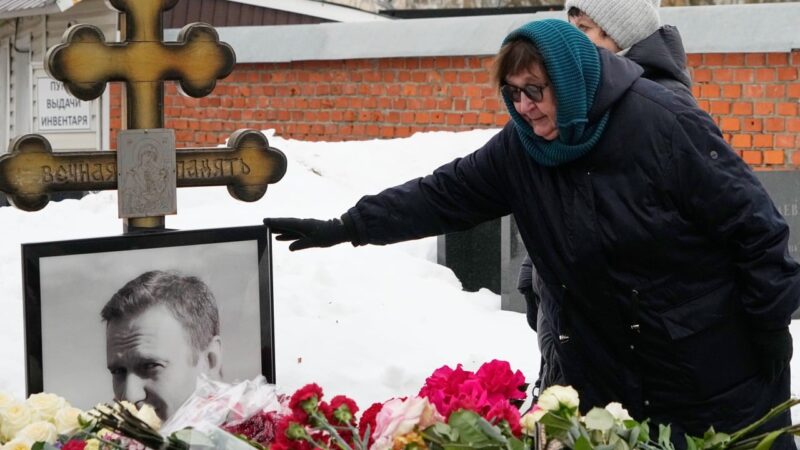Russia demands ‘concrete’ proof that it poisoned Navalny with dart frog toxin
