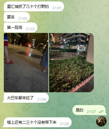 #金边突发：

刚刚金边星汇城被端了一家打野的公司。抓了