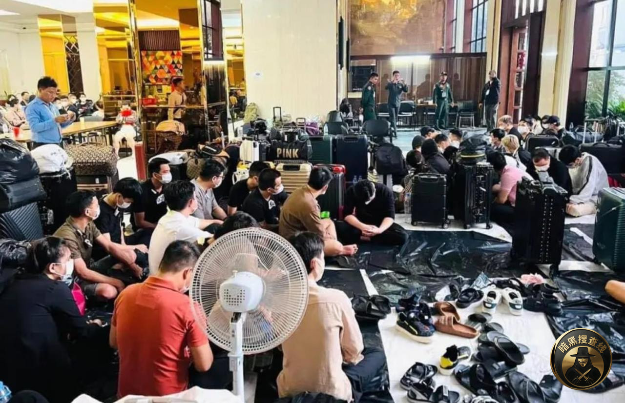 专家：打击网络诈骗是柬埔寨经济发展的“长效良药”

#柬