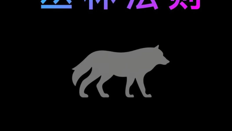 东南亚社会就是丛林法则！

反正只要你没背景没实力，你就