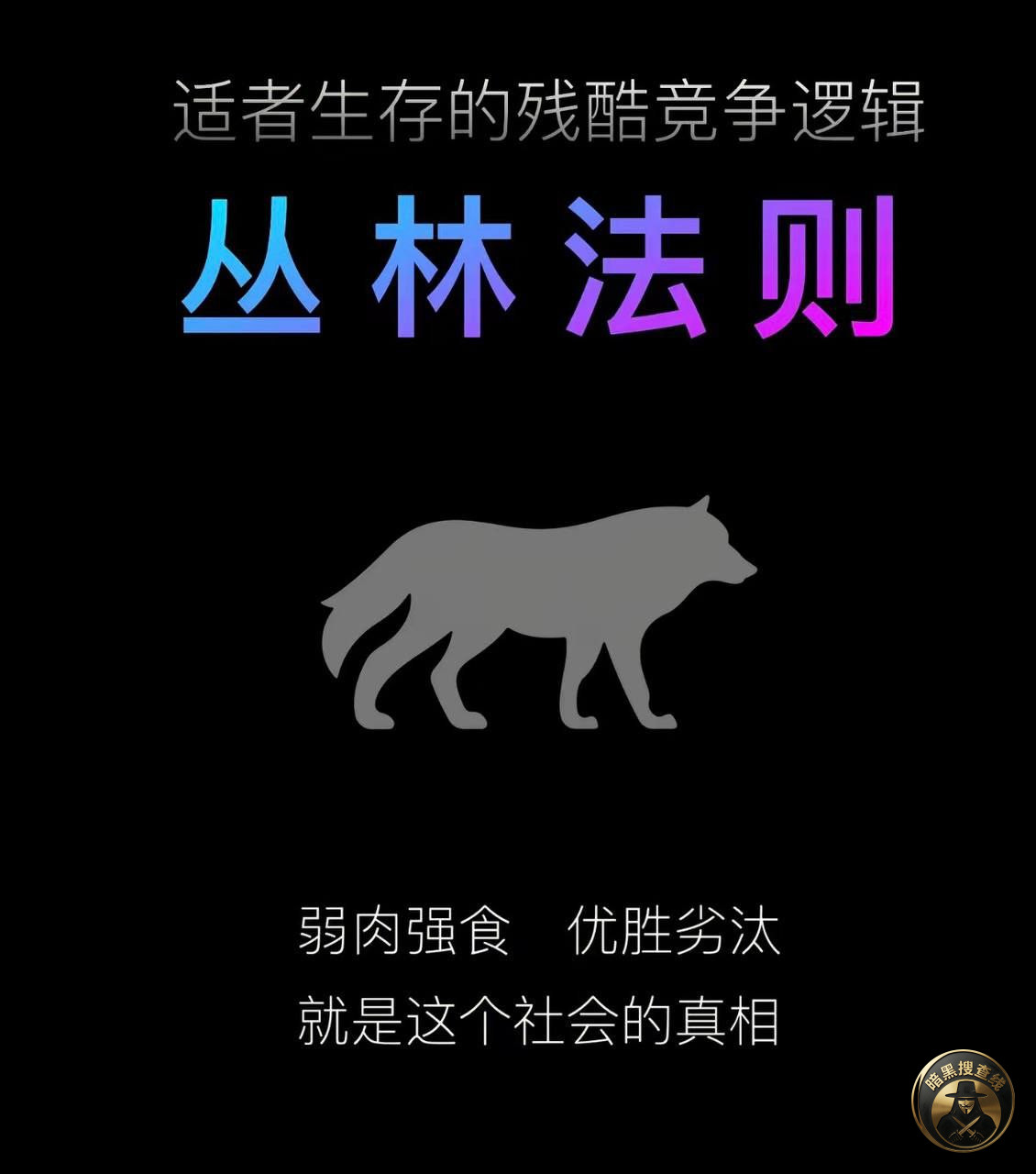 东南亚社会就是丛林法则！

反正只要你没背景没实力，你就