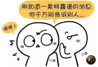 #最新消息：🇰🇭戈公七星海今天抓了1000多个狗推，具体情况
