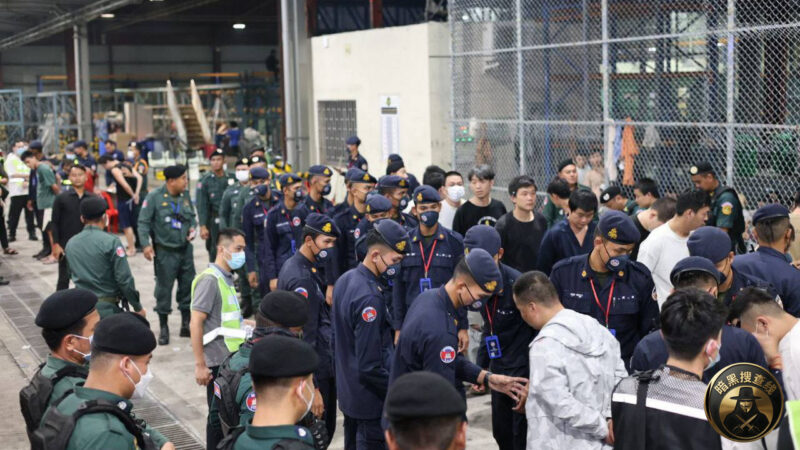 #完犊子了 2月11日柬埔寨再遣返319名中国籍电诈嫌犯