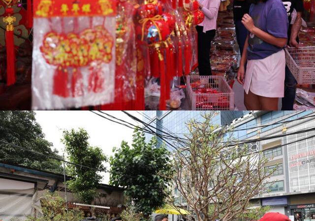 【中国春节将近 金边新春气氛渐浓】

新华社消息称，春节