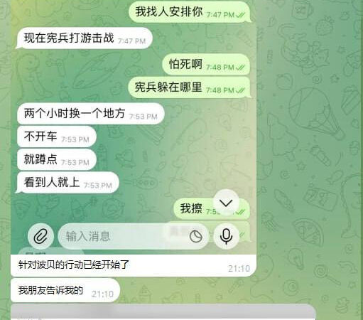 #网友爆料 #波贝

波贝最近可能会对外面的出租屋开始排