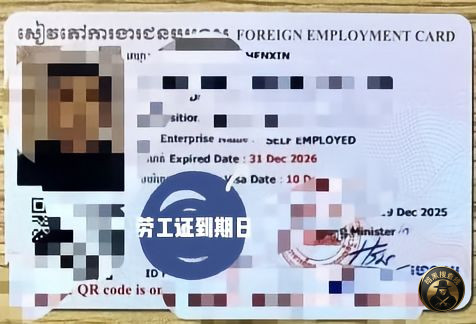 #柬埔寨  #劳工证

柬埔寨政府的通知

-有25