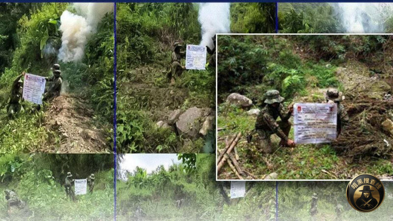 #销毁近3000万比索大麻，数万株毒株被铲除

菲律宾国