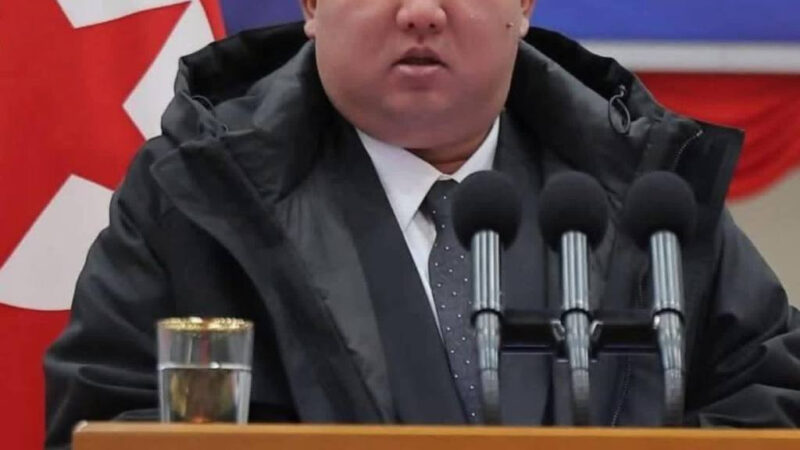 #国际新闻 金正恩声称愿向伊朗提供导弹：一枚可摧毁以色列