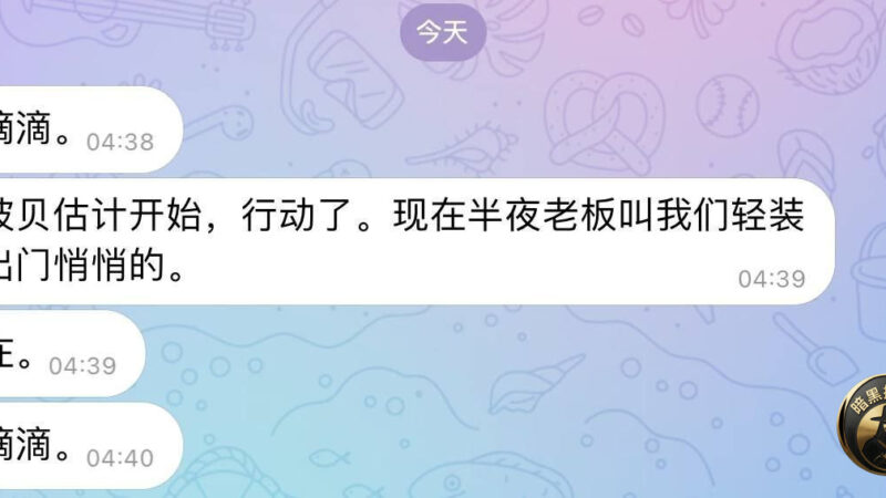 #网友投稿  #波贝 估计要开始行动了

今天凌晨半夜，