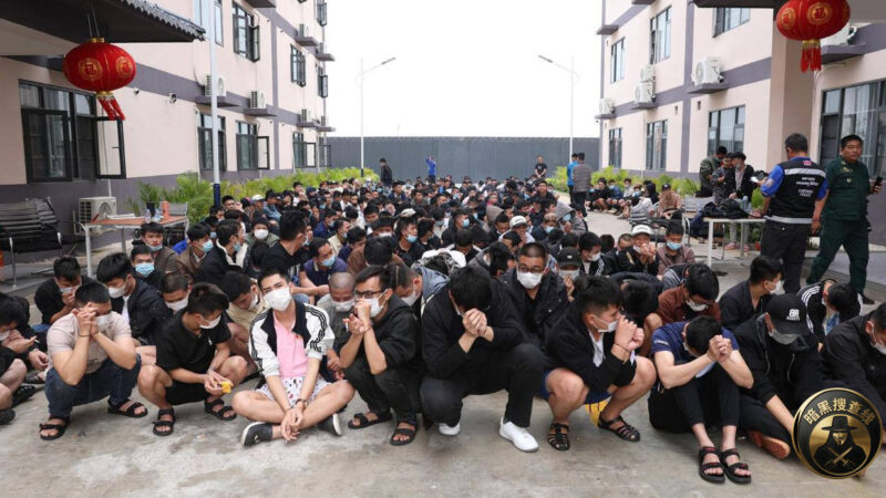 🇰🇭 官方：波贝昨天抓了约500人

昨天，柬埔寨国家打