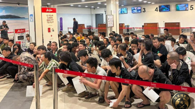 🇰🇭柬埔寨2026年重拳打击电诈：两个月抓获5771人，清剿